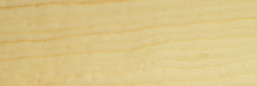 Pine